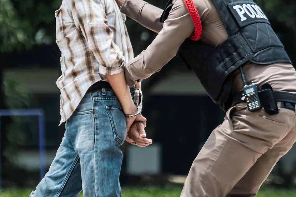 A police officer is handcuffing a person in a plaid shirt, who appears to be standing in a grassy area. There are structures visible in the background.